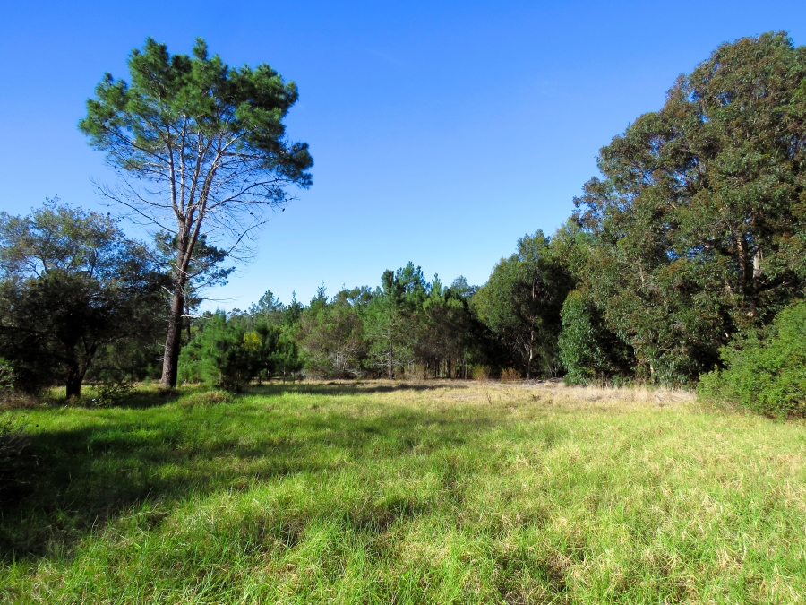 0 Bedroom Property for Sale in Keurbooms Western Cape